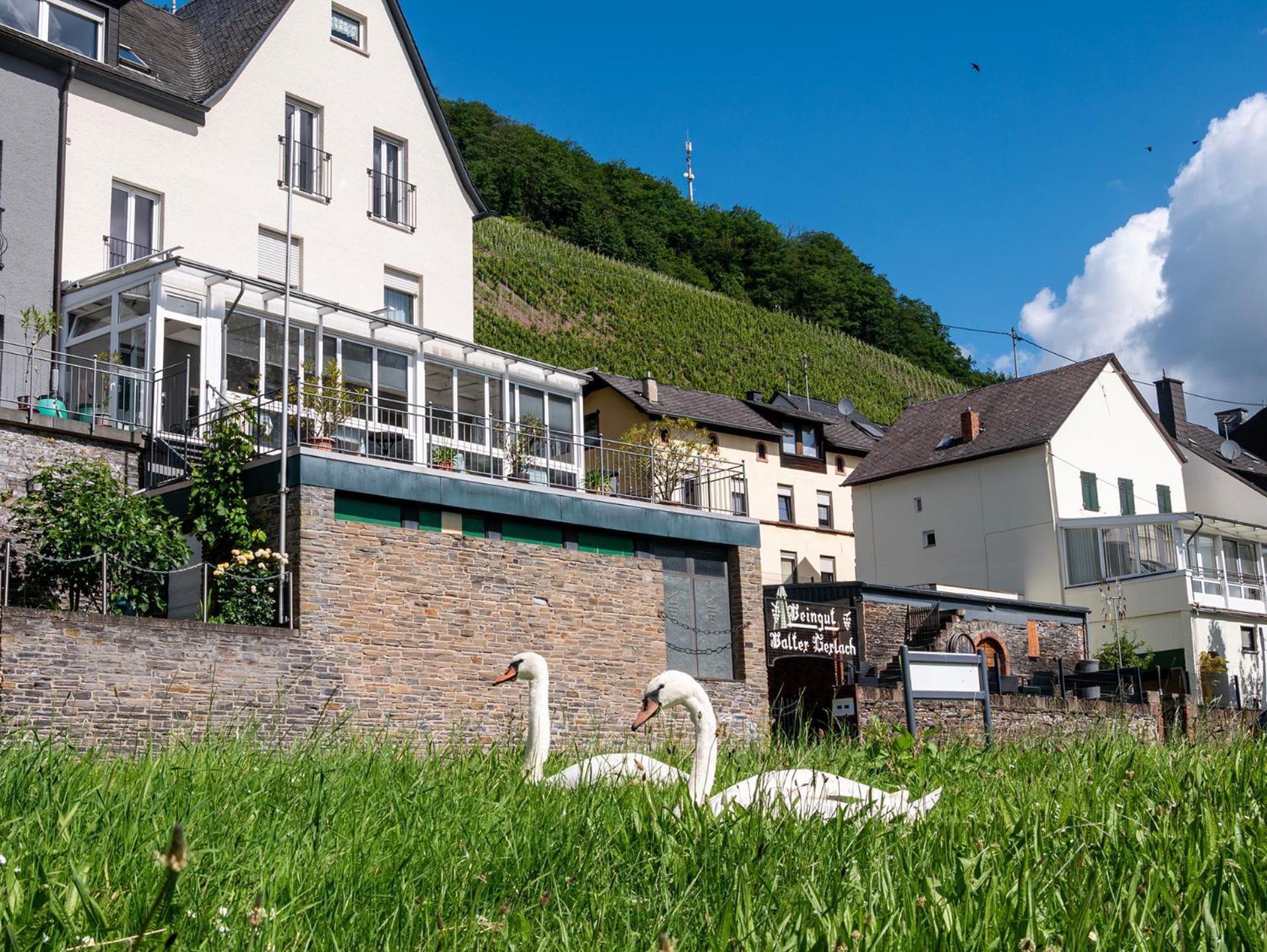 Weingut / Gaestehaus Gerlach Ürzig Exterior foto