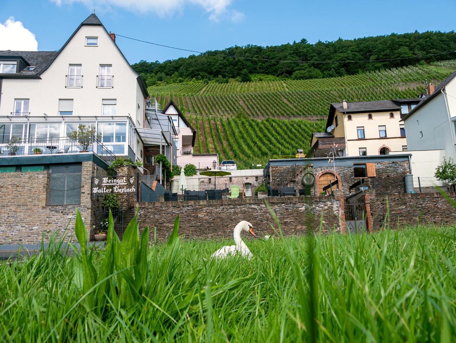 Weingut / Gaestehaus Gerlach Ürzig Exterior foto